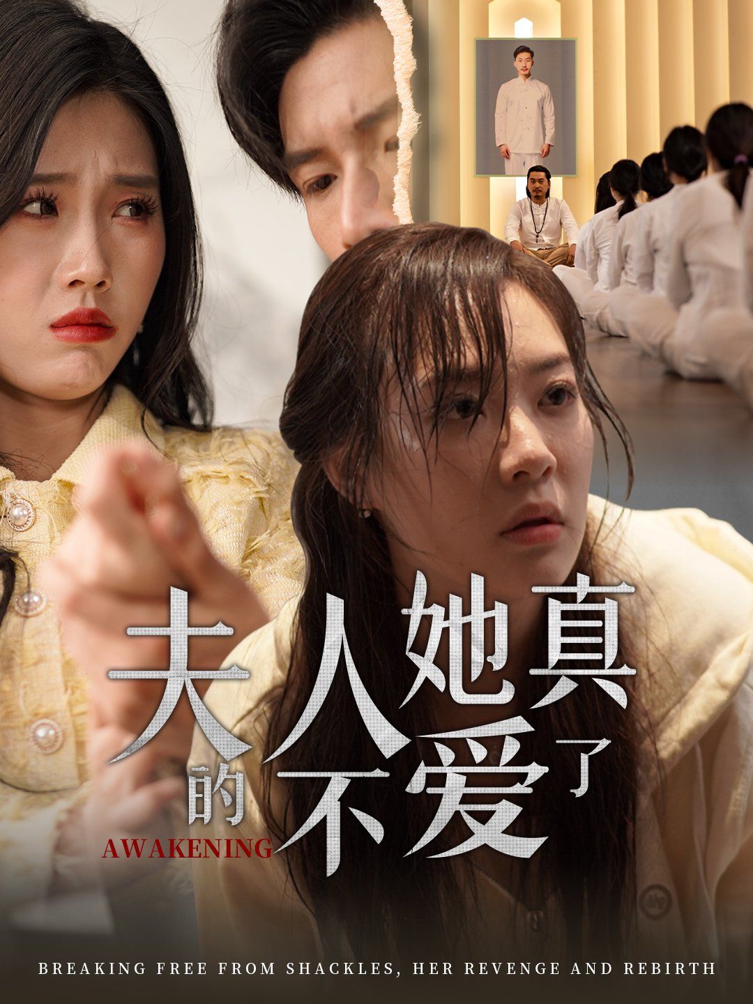 夫人她真的不爱了(全集)