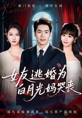 女友逃婚为白月光妈哭丧(全集)