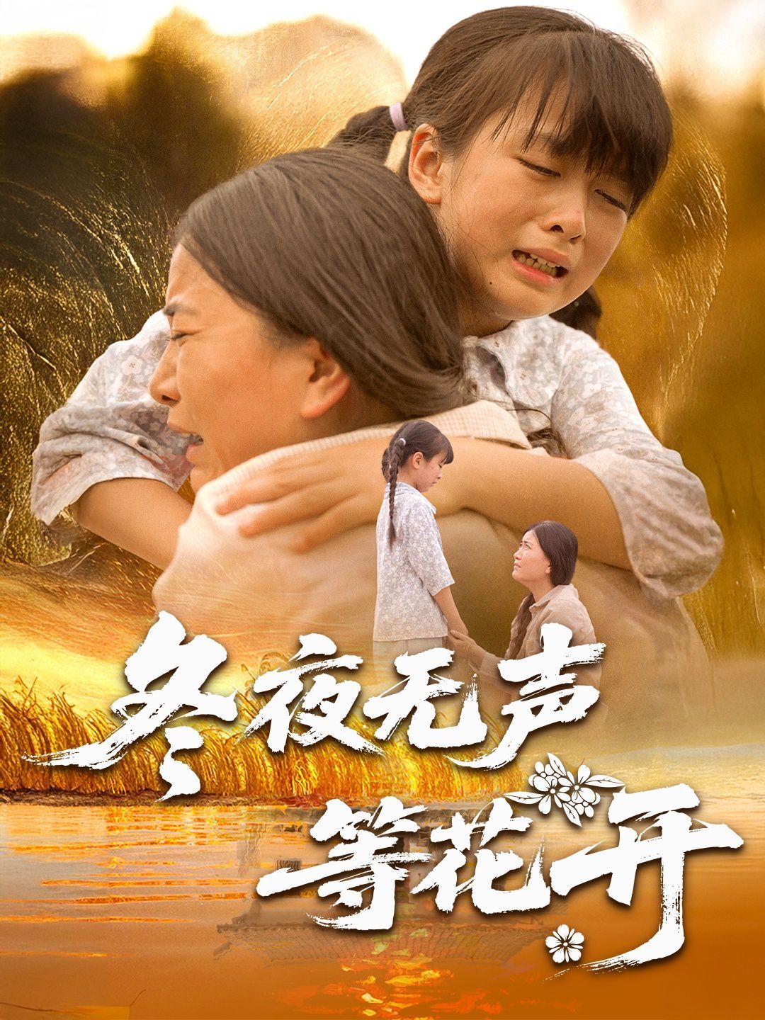 冬夜无声等花开(全集)