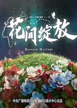 花间绽放第01集