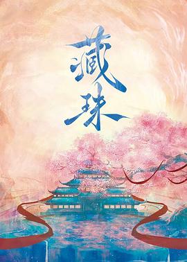 藏珠第01集