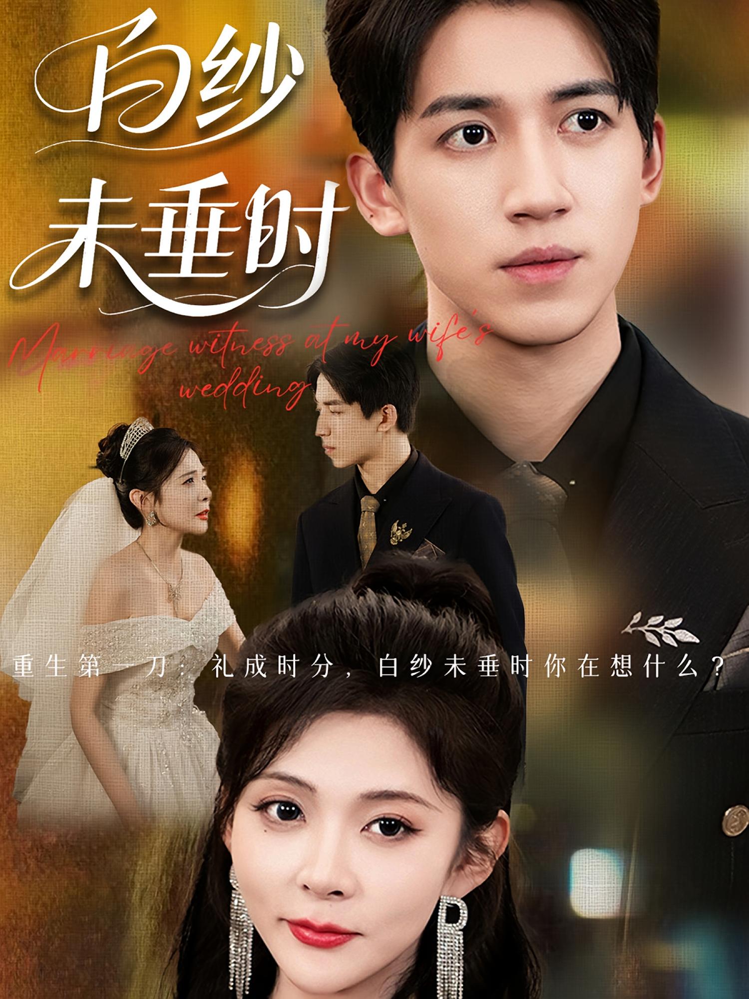 老婆婚礼我当证婚人，白纱未垂时(全集)
