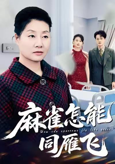麻雀怎能同雁飞第44集