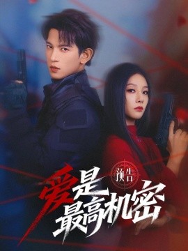爱是最高机密(全集)