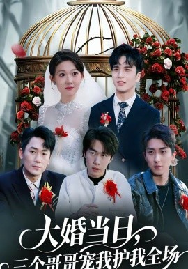大婚当日，三个哥哥宠我护我全场(全集)