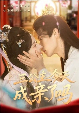 三公主今天成亲了吗第01集