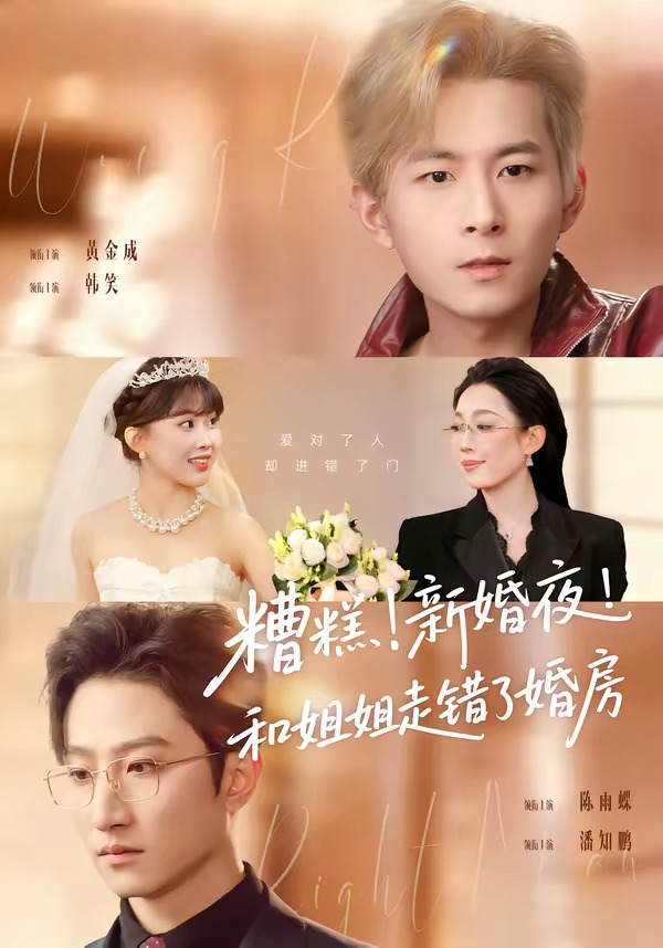 糟糕！新婚夜！和姐姐走错了婚房(全集)