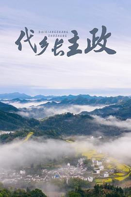 代乡长主政(全集)