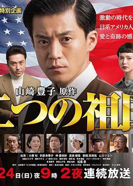 两个祖国后篇(全集)