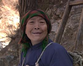 认娘(全集)
