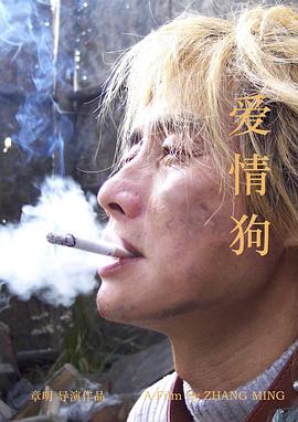 爱情狗绑架案(全集)