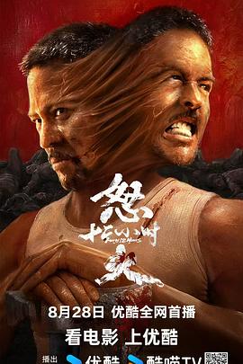 怒火十二小时(全集)
